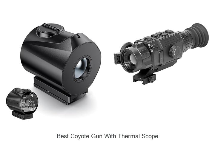 Best Coyote Gun With Thermal Scope That Hunters Swear By